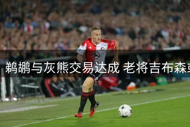 鹈鹕与灰熊交易达成 老将吉布森或遭裁员